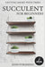 Succulent For Beginners