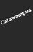 Catawampus by Ana Solis Martinez