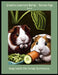 Creative Learners Series Guinea Pigs- Book 6: Elective for Deep Inside the Forest by Tammy Johnson