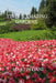 Italy's Amazing Gardens by Martin Gani