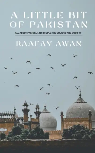 A Little bit of Pakistan by Raafay Awan