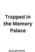 Trapped in the Memory Palace: short stories by Shivnath Kisku