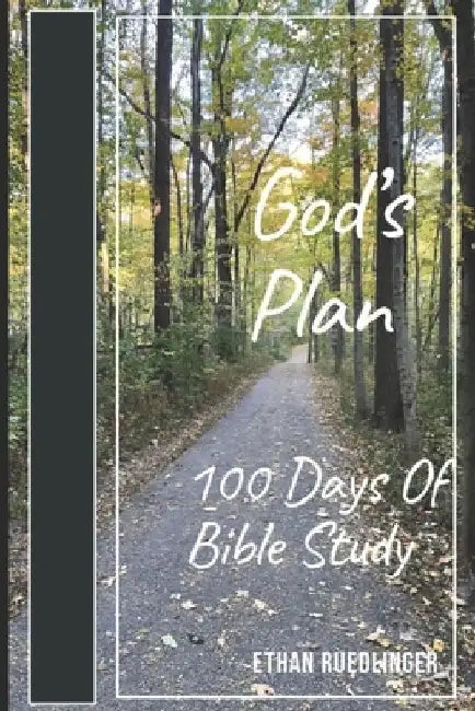 God's Plan: 100 Days Of Bible Study by Connie Ruedlinger