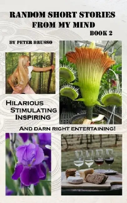 Random Short Stories from my mind... book 2 by Peter C. Brusso
