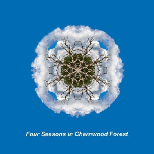 Four Seasons in the Charnwood Forest by Robb Doyle