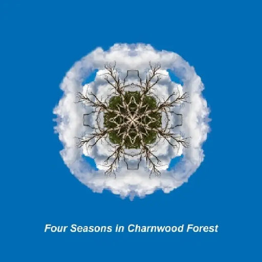 Four Seasons in the Charnwood Forest by Robb Doyle