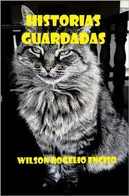 Historias guardadas by Enciso, Wilson Rogelio