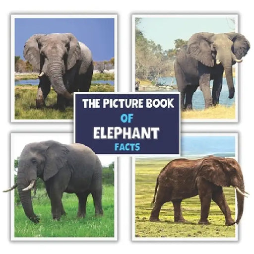 The Picture Book of Elephant Facts: A Fun and Informative Photos with Fun Facts Book for Kids by James K. Mahi