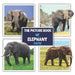 The Picture Book of Elephant Facts: A Fun and Informative Photos with Fun Facts Book for Kids by James K. Mahi