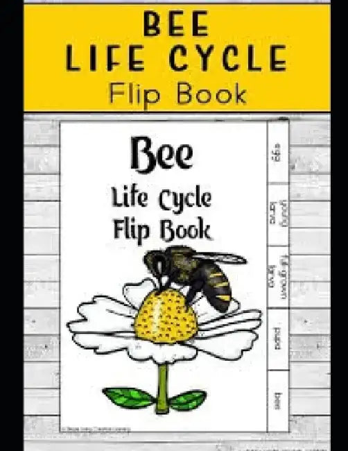 Life Cycle of Bees by Aminah McCloud