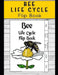 Life Cycle of Bees by Aminah McCloud
