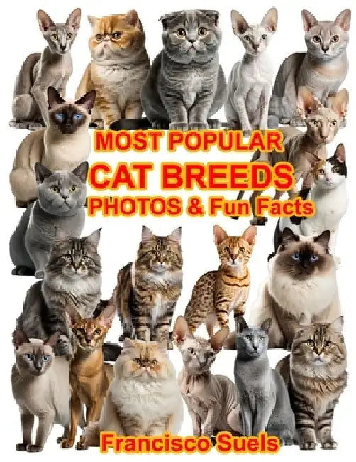 Most Popular Cat Breeds Photos Fun Facts by Francisco Suels