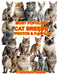 Most Popular Cat Breeds Photos Fun Facts by Francisco Suels