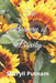 The Bravery of Brevity: An Anthology of Short Stories by Sheryll Elizabeth Putnam