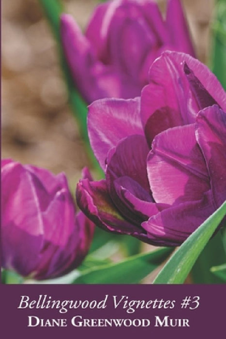 Bellingwood Vignettes #3 by Diane Greenwood Muir