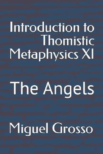 Introduction to Thomistic Metaphysics XI: The Angels by Miguel Grosso