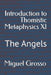 Introduction to Thomistic Metaphysics XI: The Angels by Miguel Grosso
