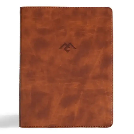 CSB Men of Character Bible, Revised and Updated, Brown Leathertouch by Csb Bibles by Holman