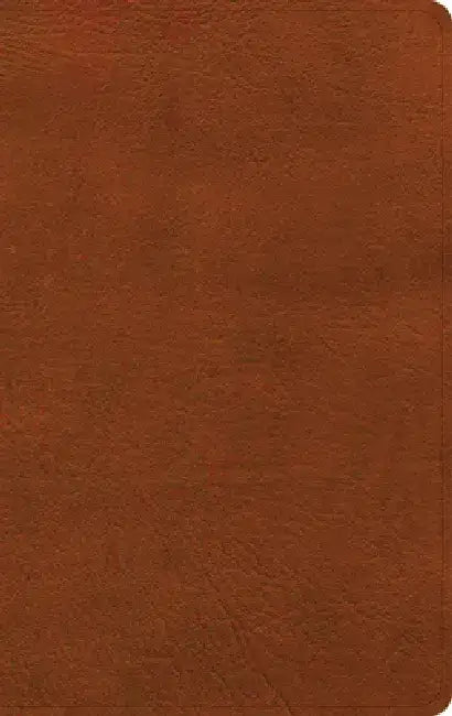 NASB Single-Column Personal Size Bible, Burnt Sienna Leathertouch by Holman Bible Publishers