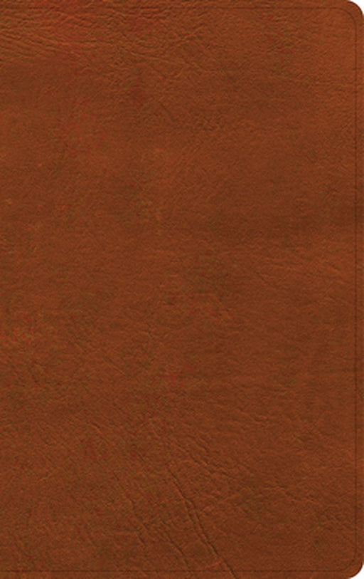 NASB Single-Column Personal Size Bible, Burnt Sienna Leathertouch by Holman Bible Publishers