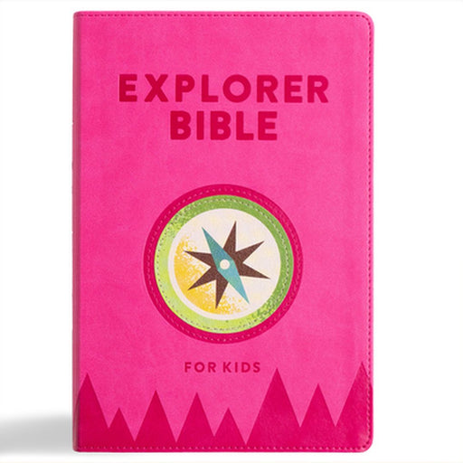 KJV Explorer Bible for Kids, Bubble Gum Leathertouch, Indexed: Placing God's Word in the Middle of God's World by Holman Bible Publishers