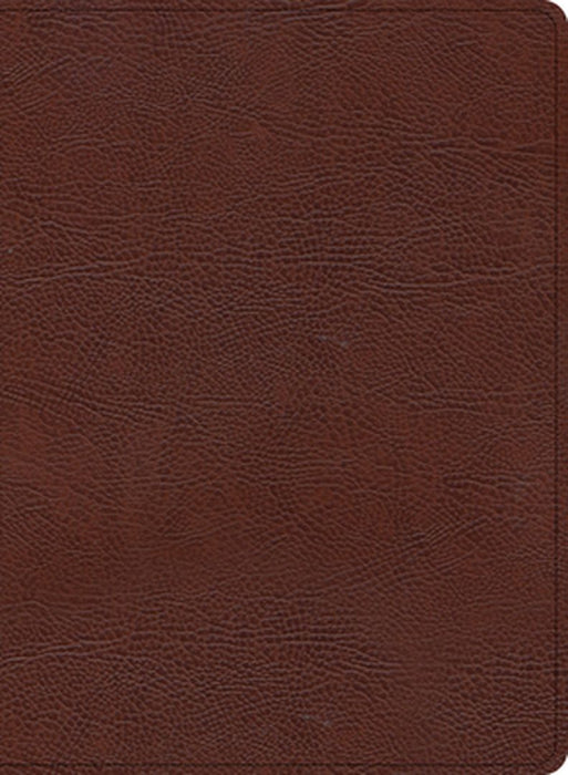 KJV Study Bible, Large Print Edition, Brown Bonded Leather by Holman Bible Publishers