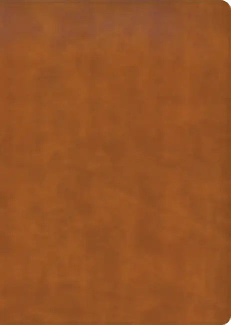 CSB Women's Study Bible, Saddle Brown Genuine Leather by Stefana Dan Laing, Csb Bibles by Holman
