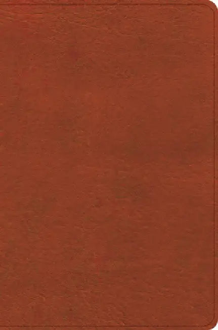 CSB Study Bible, Personal Size, Digital Study Edition, Burnt Sienna Leathertouch by Csb Bibles by Holman