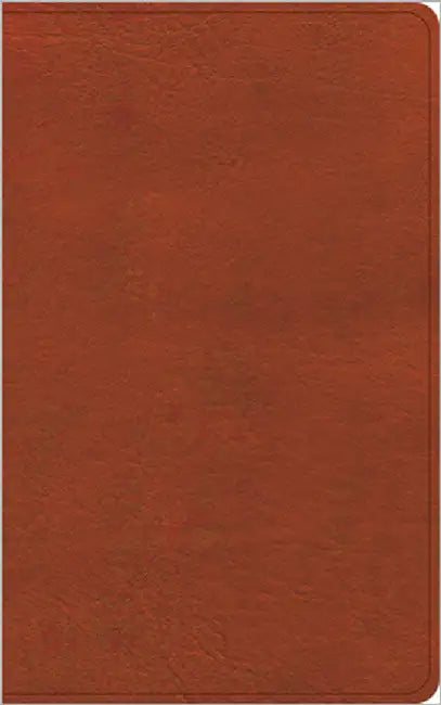 CSB Single-Column Personal Size Reference Bible, Burnt Sienna Leathertouch by Csb Bibles by Holman