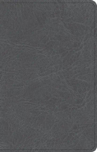 NASB Personal Size Bible, Charcoal Leathertouch by Holman Bible Publishers