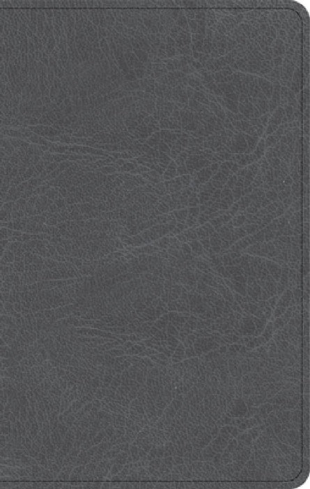 NASB Personal Size Bible, Charcoal Leathertouch by Holman Bible Publishers