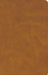 CSB Personal Size Bible, Saddle Leathertouch by Csb Bibles by Holman