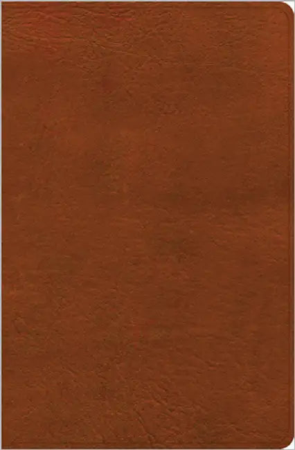 NASB Personal Size Giant Print Bible, Burnt Sienna Leathertouch by Holman Bible Publishers