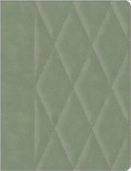 CSB Notetaking Bible, Large Print Edition, Sage Suedesoft Leathertouch Over Board by Csb Bibles by Holman