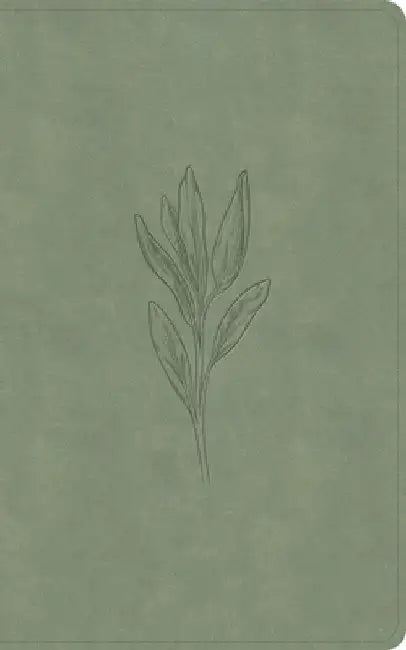 KJV Single-Column Personal Size Bible, Sage Suedesoft Leathertouch by Holman Bible Publishers