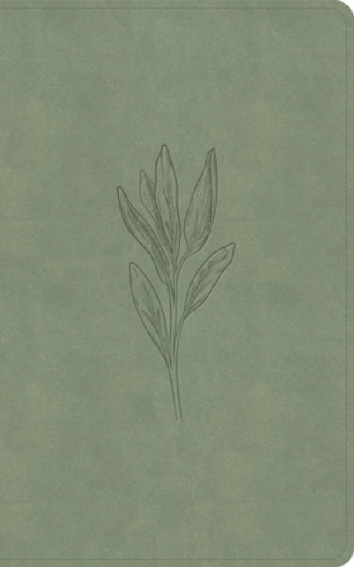 KJV Single-Column Personal Size Bible, Sage Suedesoft Leathertouch by Holman Bible Publishers