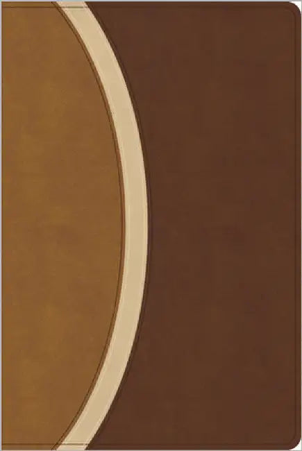 CSB Rainbow Study Bible, Brown Leathertouch (Limited Edition) by Csb Bibles by Holman