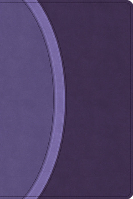 CSB Rainbow Study Bible, Purple Leathertouch (Limited Edition) by Csb Bibles by Holman