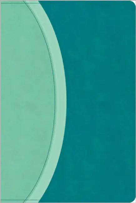 CSB Rainbow Study Bible, Teal Leathertouch (Limited Edition) by Csb Bibles by Holman