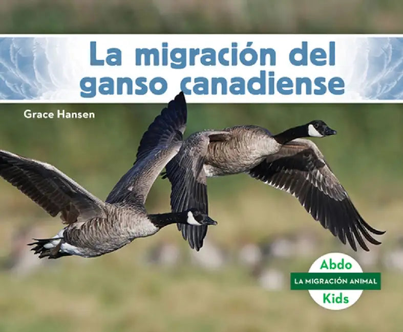 La Migración del Ganso Canadiense (Set) by Grace Hansen