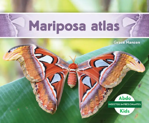 Mariposa Atlas (Atlas Moth) by Grace Hansen