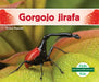 Gorgojo Jirafa (Giraffe Weevil) by Grace Hansen