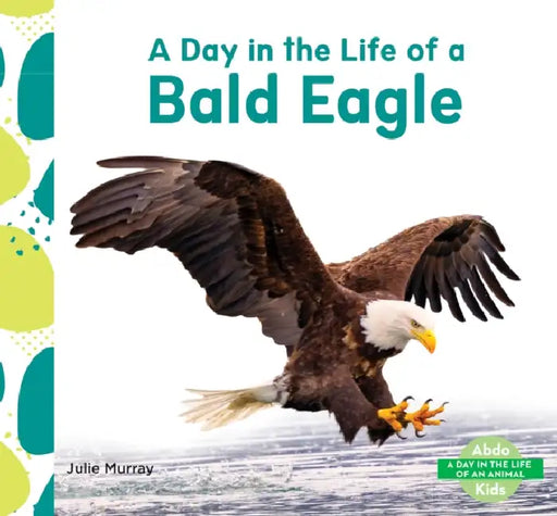 Day in the Life of a Bald Eagle by Julie Murray