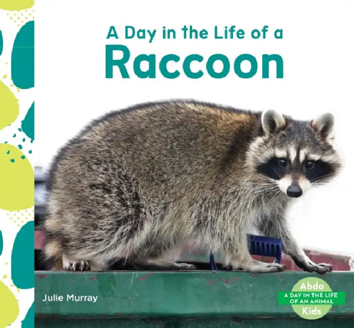 Day in the Life of a Raccoon by Julie Murray