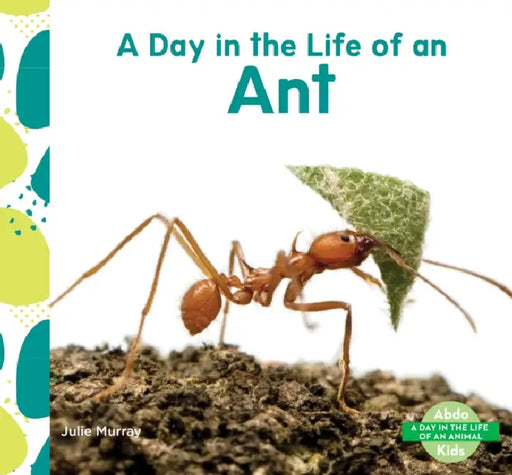 Day in the Life of an Ant by Julie Murray