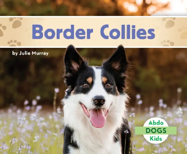 Border Collies by Julie Murray