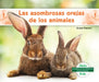 Las Asombrosas Orejas de Los Animales (Different Ears of Animals) by Grace Hansen