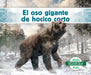 El Oso Gigante de Hocico Corto (Giant Short-Faced Bear) by Julie Murray