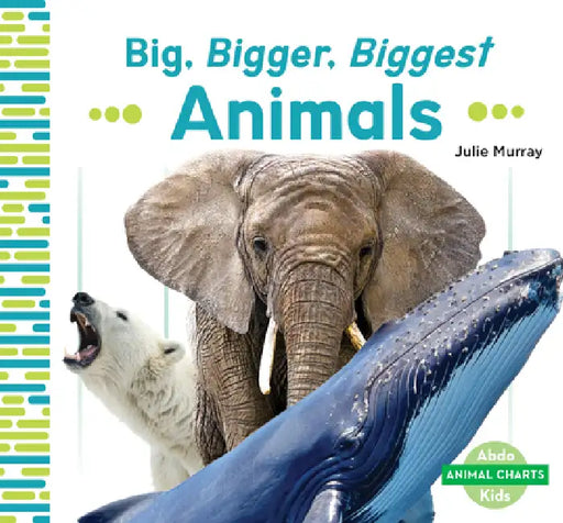 Big, Bigger, Biggest Animals by Julie Murray