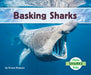 Basking Sharks by Grace Hansen